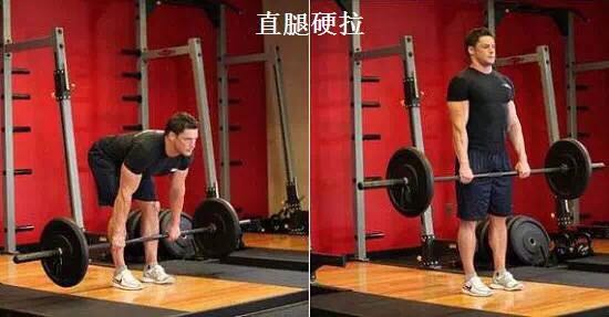 硬拉是练背还是练腿？你真的清楚吗？