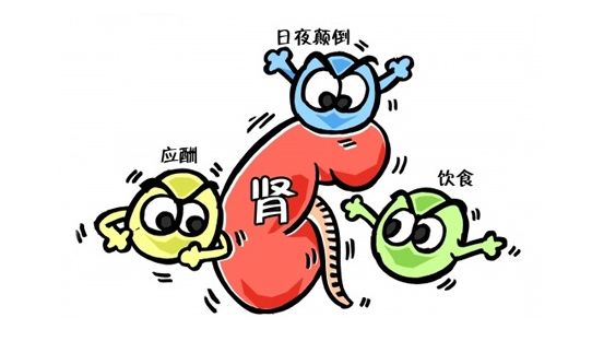 嘌呤食物,但是由于熬夜加班,应酬使得新陈代谢紊乱从而导致肾功能不全