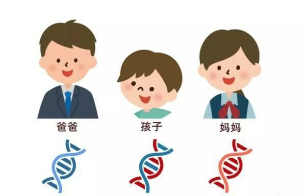 惊强直性脊柱炎的遗传概率原来是这样的