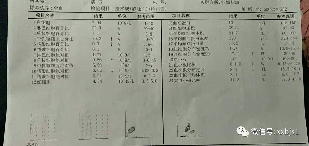 血小板減少症病友成功停藥已懷孕一切正常