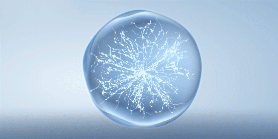 960_481gif 动态图 动图